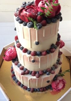 «Летняя фантазия»