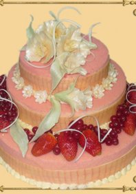  «Восторг» (Б24519)