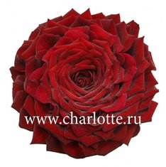 Салон цветов Флорагранд.ру