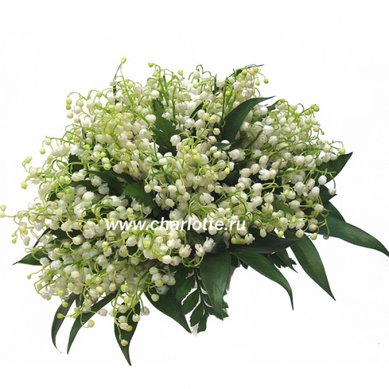 Букет Ф6282 - Салон цветов Флорагранд.ру