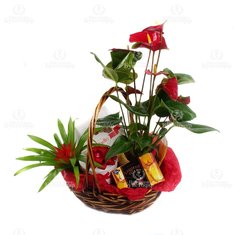 Аксессуар из цветов Ц3394