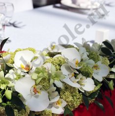 Цветочная композиция V3767