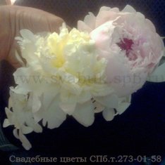 Аксессуар из цветов С6183