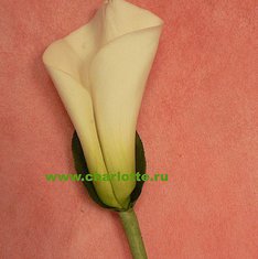 Бутоньерка Ф6355