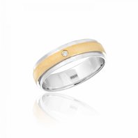 Арт. WR03-1F10-C13617