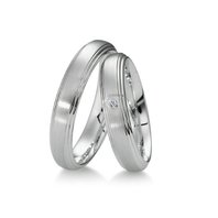 Арт. ОК1-161Пт | ОК1-161Пт-D5873