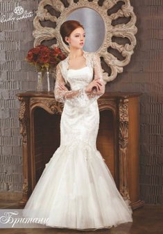 Арт. Британи-A23739