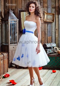 Арт. Бонито-А23843