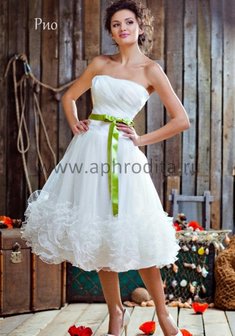 Арт. Рио-А23845