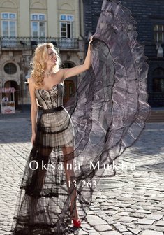 Арт. 13-263-A37250