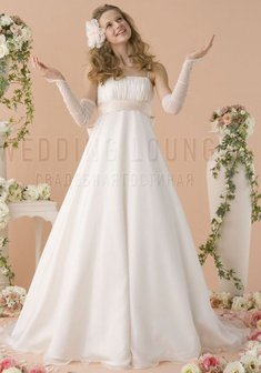 Арт. Салли-W43258