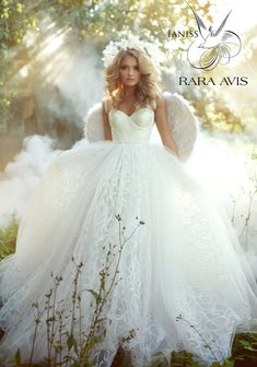 Арт. Ианисс-E55301