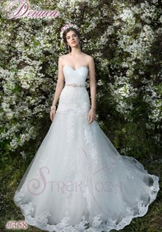 Арт. Дениса-К56391