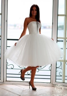 Арт. Камель-С64720