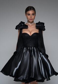 Вечернее платье Принцесс Нуар-V70533. С пышной юбкой, короткое без шлейфа.