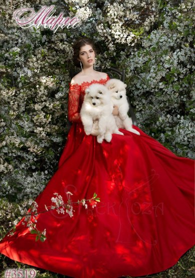 Свадебное платье Марго Красное-A52485 - Свадебный салон ALEDA (Гороховая 64)