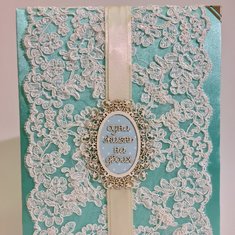 Папка для свидетельства V119972