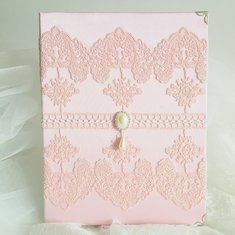 Папка для свидетельства V121043