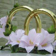 Кольца на машину V49200