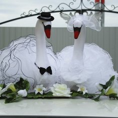 Лебеди на машину V49204