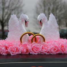 Лебеди на машину V49205