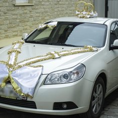 Набор на авто «банты» V49206