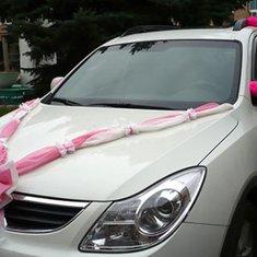 Набор украшений на авто V49212