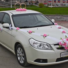 Набор украшений на авто V49214