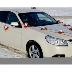 Набор украшений на авто V49215