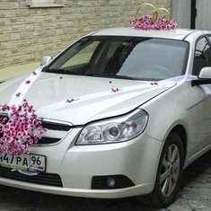 Набор украшений на авто V49216