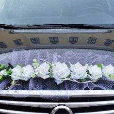 Украшение на машину V49219