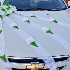 Украшение на машину V49222