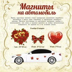 Набор магнитов на авто V49230