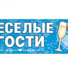 Магнит для авто V49233