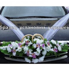 Набор украшений на авто V49238