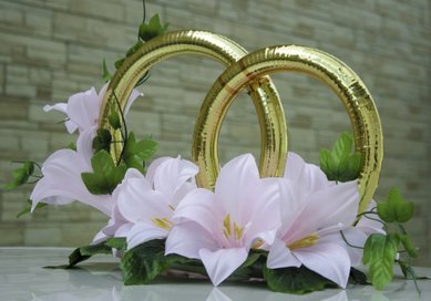 Кольца на машину V49200 - Салон аксессуаров VESTA