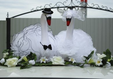 Лебеди на машину V49204 - Салон аксессуаров VESTA