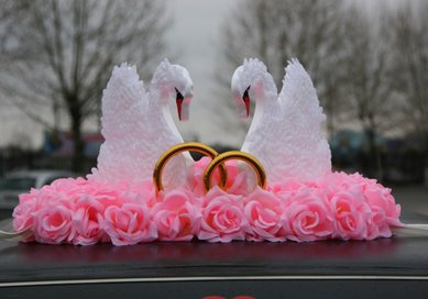 Лебеди на машину V49205 - Салон аксессуаров VESTA