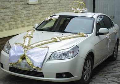 Набор на авто Банты V49206 - Салон аксессуаров VESTA