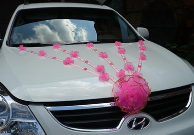 Набор украшений на авто V49211 - Салон аксессуаров VESTA