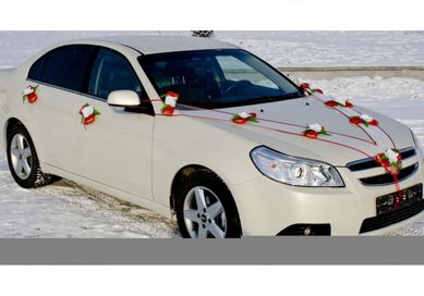 Набор украшений на авто V49215 - Салон аксессуаров VESTA