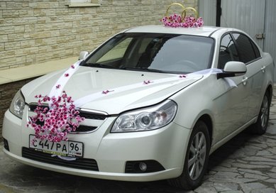 Набор украшений на авто V49216 - Салон аксессуаров VESTA