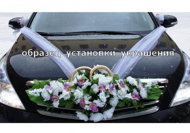 Набор украшений на авто V49238 - Салон аксессуаров VESTA