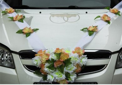 Украшение на машину V49239 - Салон аксессуаров VESTA